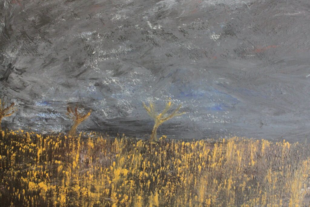The Night Field