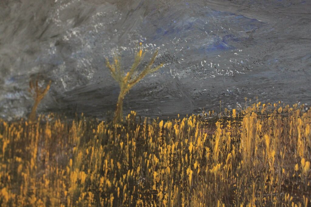 The Night Field